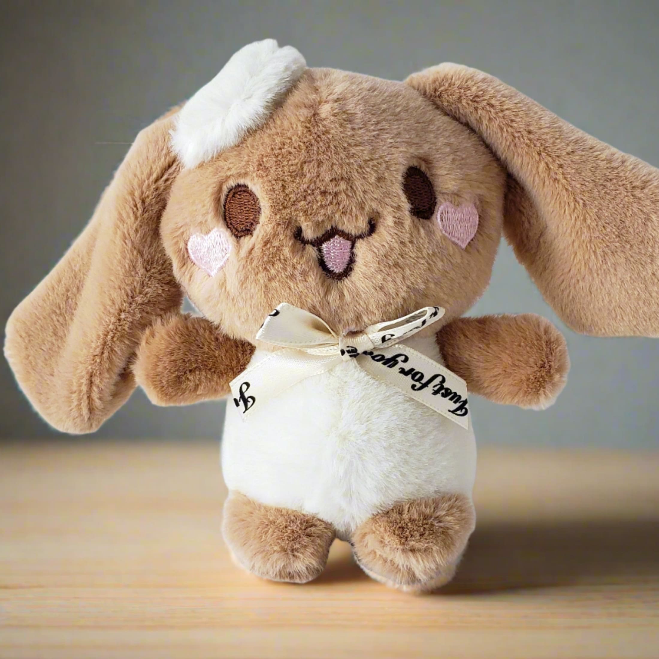 Mocha Cinnamoroll Build A Bear (Read shops Description)