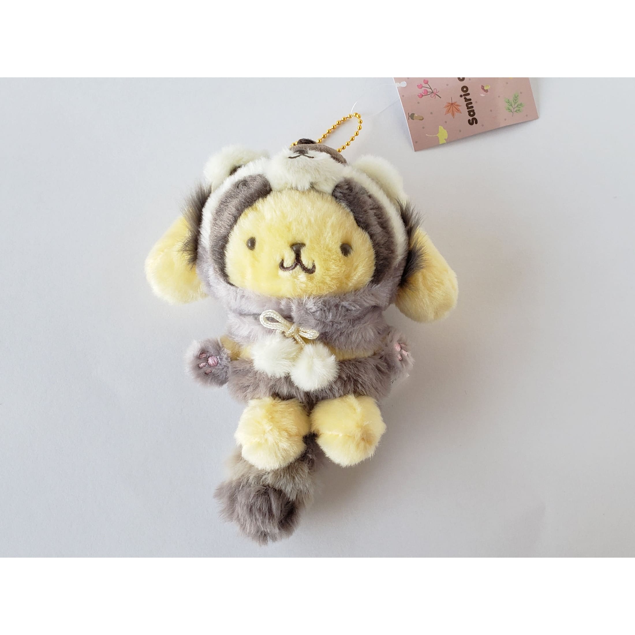 Pompompurin Raccoon Plush Mascot – Confetti Kitty