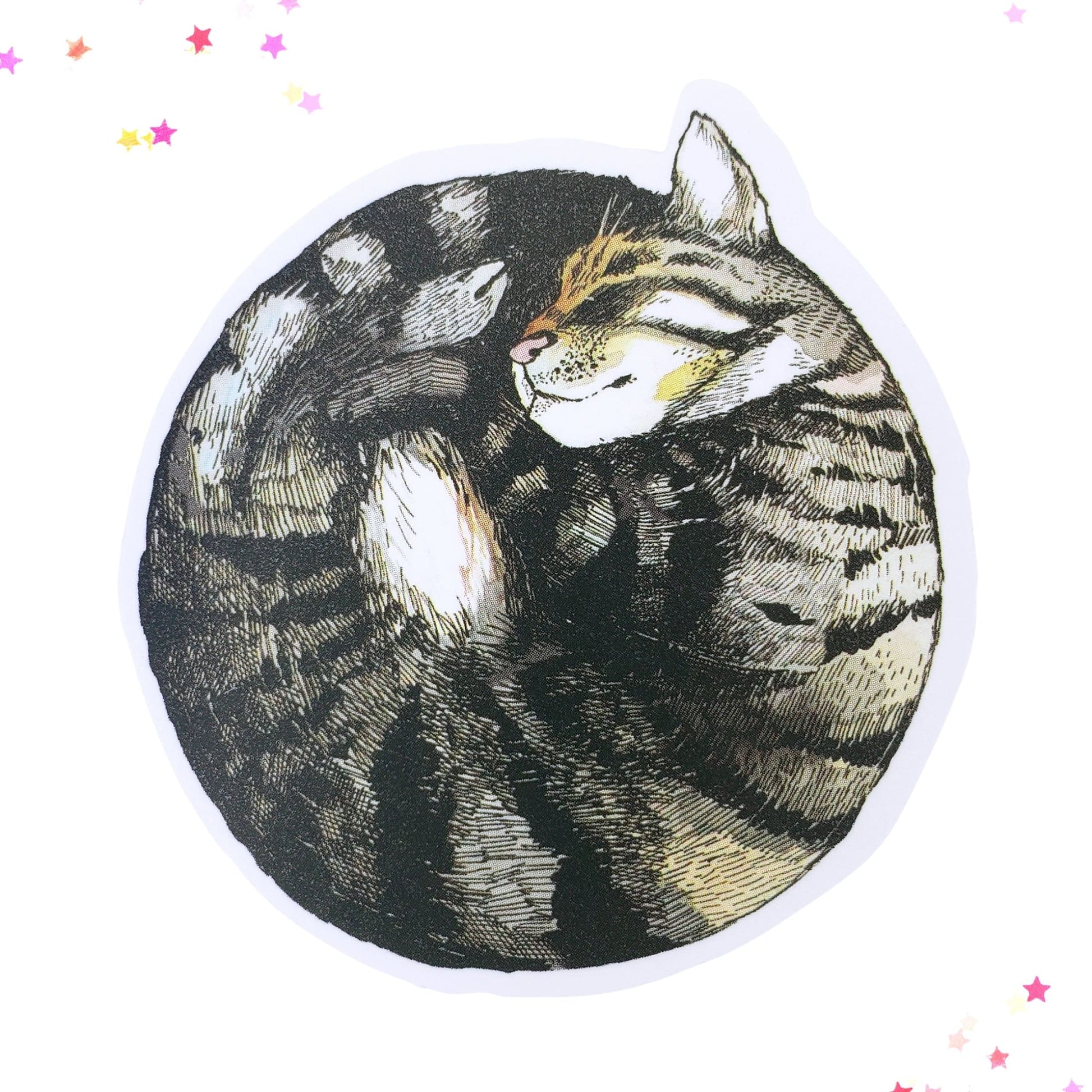 Gray Tabby Cat Curled in a Ball Waterproof Sticker | Cat Curl from Confetti Kitty, Only 1.00