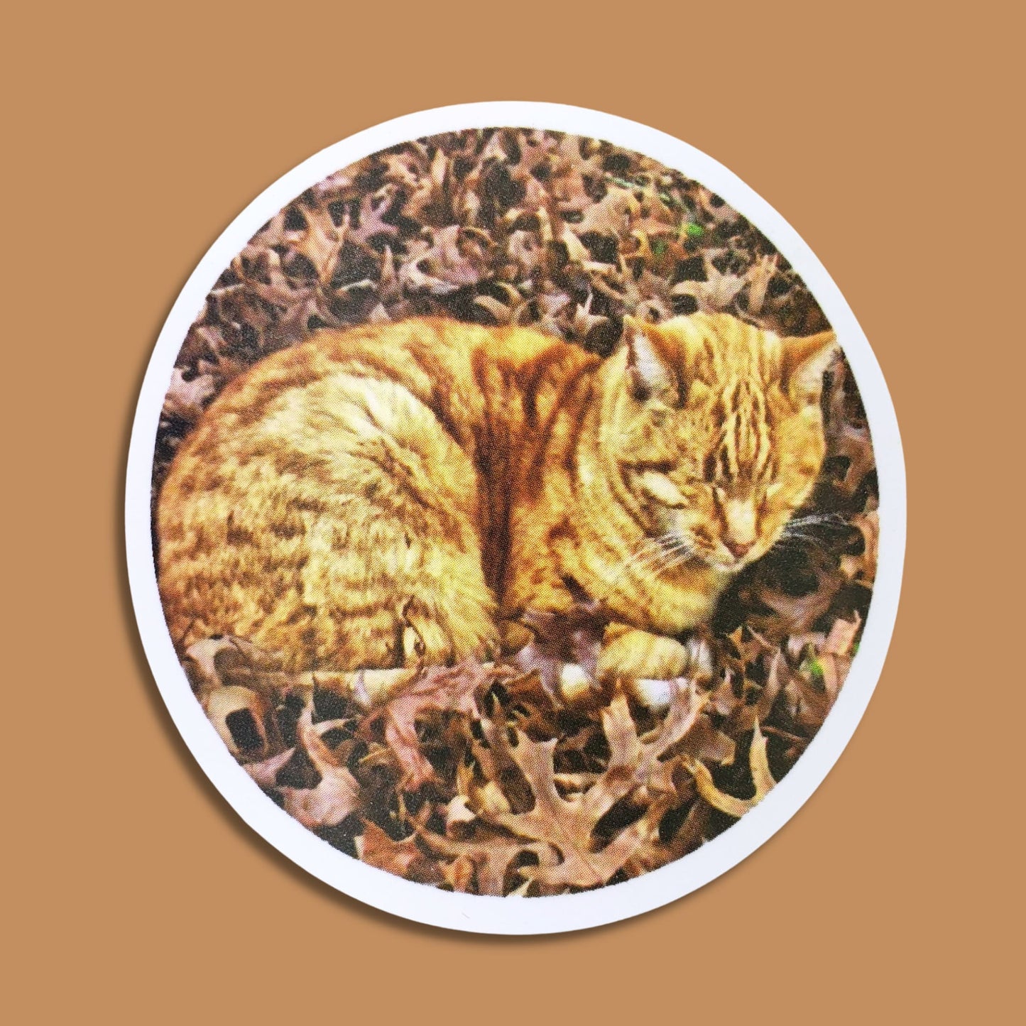 Orange Tabby Cat on Leaves Waterproof Sticker | Autumn Cat from Confetti Kitty, Only 1.00