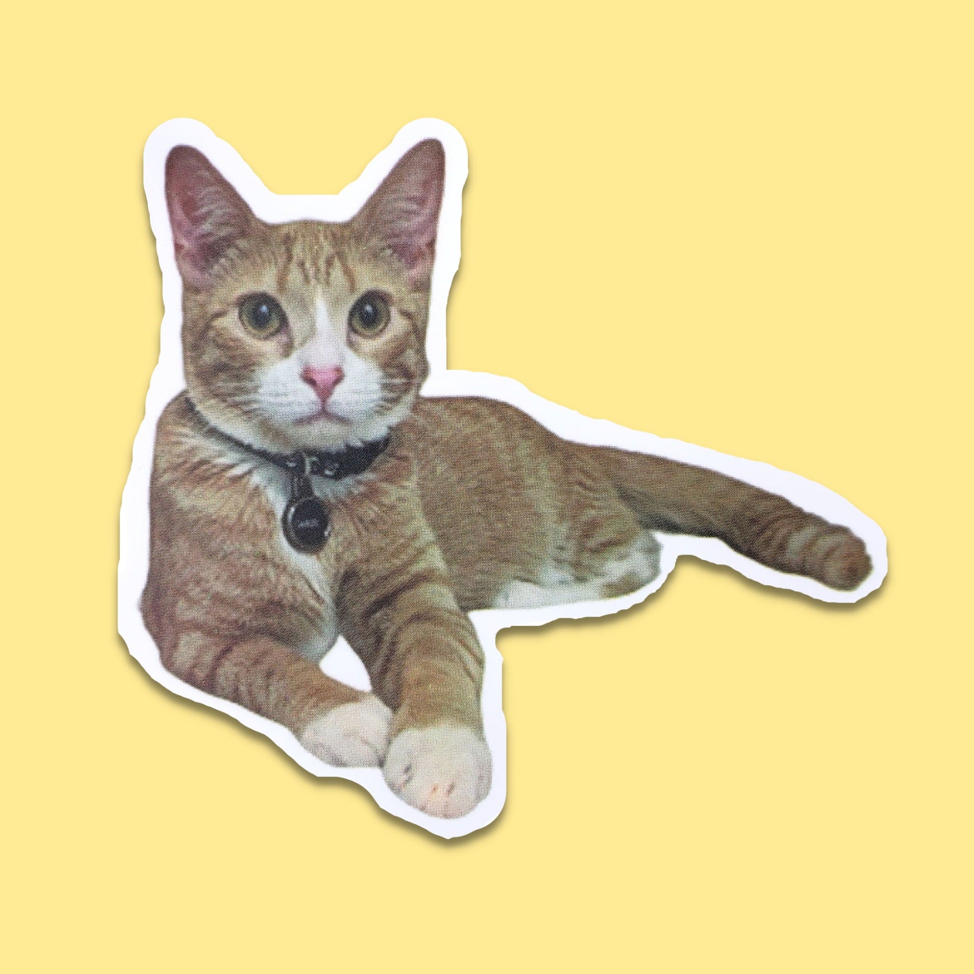 Orange Tabby with Collar Waterproof Sticker from Confetti Kitty, Only 1.00