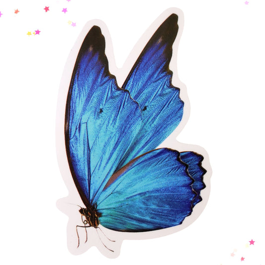 Serendipity Blue Butterfly Waterproof Sticker from Confetti Kitty, Only 1.00