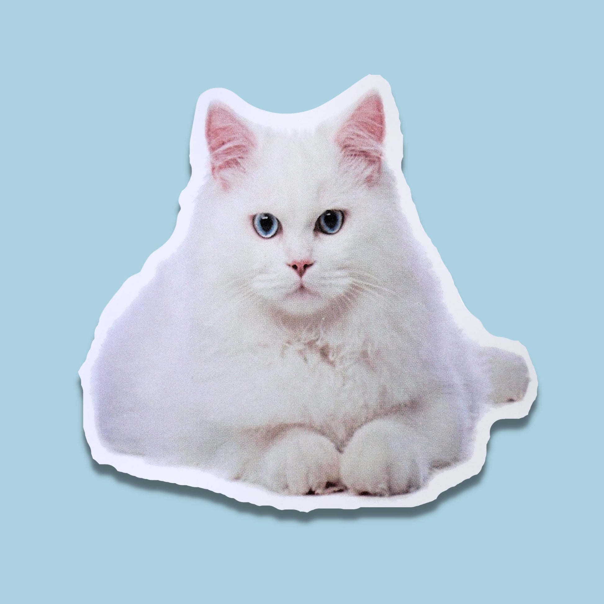 White Cat with Blue Eyes Waterproof Sticker | Focused Feline from Confetti Kitty, Only 1.00