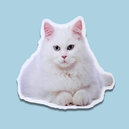 White Cat with Blue Eyes Waterproof Sticker | Focused Feline from Confetti Kitty, Only 1.00